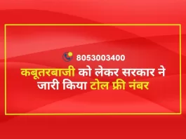 कबूतरबाजी (Pigeon Racing) को लेकर सरकार ने जारी किया टोल फ्री नंबर