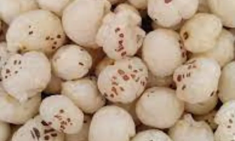 Lotus seed fritters, often known as makhana, are still in high demand. This vrat component can also be roasted and eaten as a snack. It can also be used to make makhana kheer.